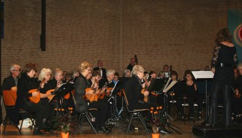 Afbeelding invoegen